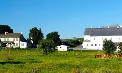 Помощь адвоката в Ростове при сделках с недвижимостью, включая земельные вопросы