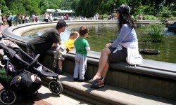 Семейный адвокат в Ростове поможет разобраться со всеми проблемами, возникающими при разводе или при решении других житейских вопросов