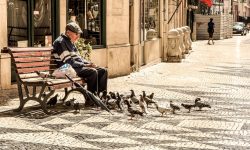 Вопрос адвокату: ипотека передается по наследству?