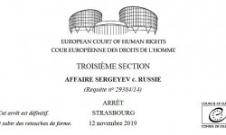 Адвокат добился справедливости по очередному делу в Европейском суде по правам человека – «Сергеев против России»
